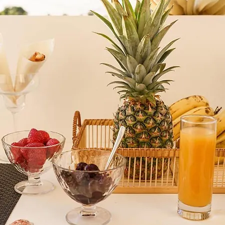 Pedro Navarino 3 Tatil Evi *